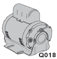 Q018 1/2 HP Motor