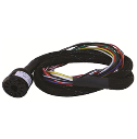 Reno Loop Detector Harness 10 Pin and 11 Pin Wire Harness